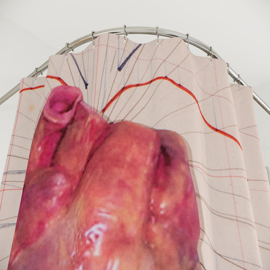 Saginaw 4 — Anatomical Heart Art Shower Curtain